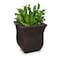 Mayne Valencia Square 16x16x18 - Espresso 5873-ES - alternate 3